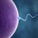 Watching TV and Physical exercise has connection with sperm counts