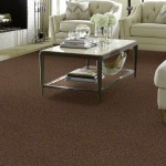 Top 6 tips on Buying the best Carpet Pad